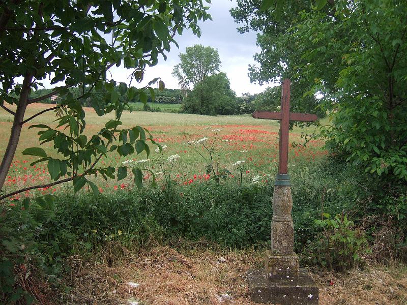 2011-05- (149).JPG